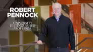 Robert Pennock | University Distinguished Professor