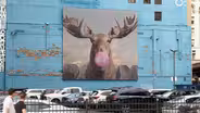 Explore the South Loop