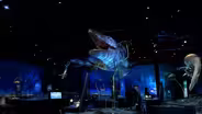 Edelman Fossil Park & Museum: Architecture As Metaphor