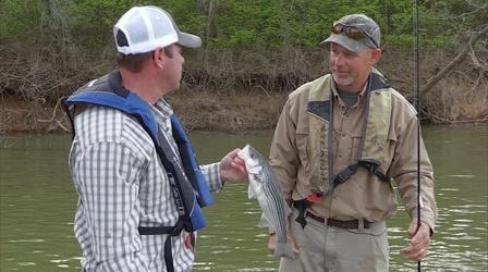 Video thumbnail: Kentucky Afield Turkey Hunt; Fishing Below Barkley Dam and the Salt River