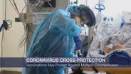 COVID-19 Vaccines May Protect Against Other Coronaviruses