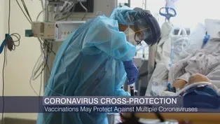 COVID-19 Vaccines May Protect Against Other Coronaviruses