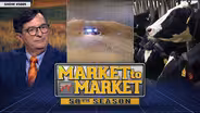 Market to Market - September 20, 2024