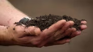 What Makes Healthy Soil?