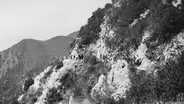 Hiking Trailblazers (Preview)