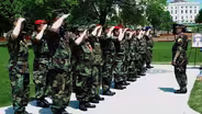 Veteran Status is in Question
