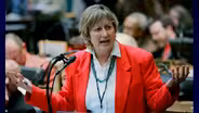 Mary Lou Marzian Will Run for Raymond's Seat