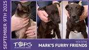 09/04/25 | Whiskers, Skipper, and Gilligan | Mark's Furry Friends Extra