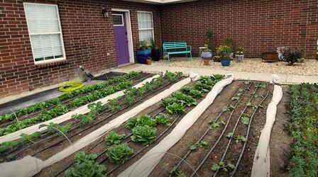 Video thumbnail: Central Texas Gardener Front Yard Forward