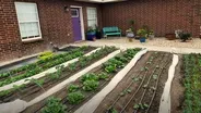Front Yard Forward