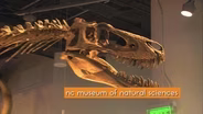 RAWR! ROOTLE Explores the NC Museum of Natural Sciences!