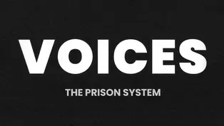 VOICES: The Prison System