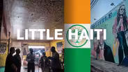 Little Haiti Healers