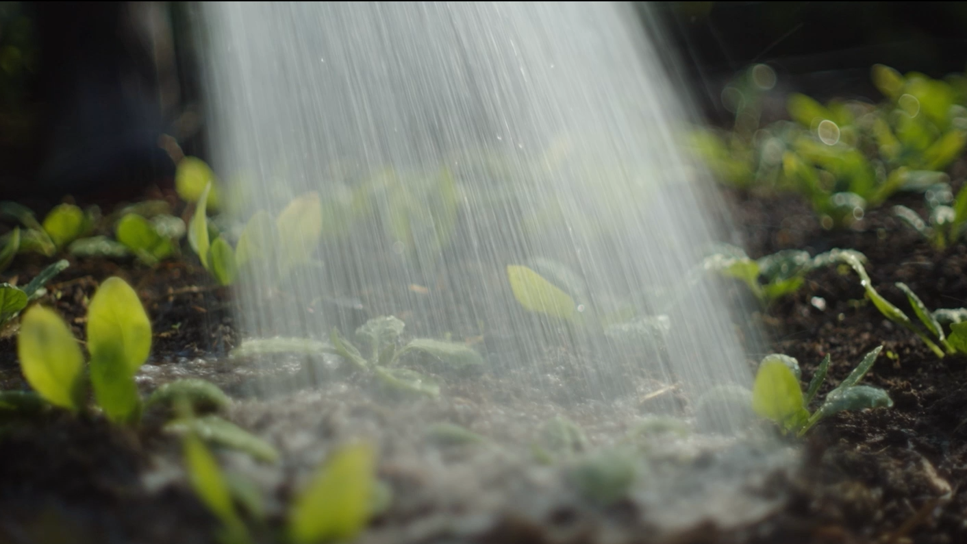 How regenerative farming helped one Vermont farm survive historic 2023 flooding.