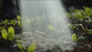 Why Did This Farm Survive VT's Extreme Floods?