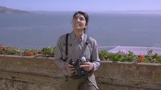The Bird Woman of Alcatraz