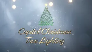 2024 Capitol Christmas Tree Lighting