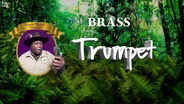 Trumpet: Meet Julia, the trumpeter!