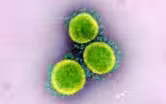 How to combat a dangerous 'infodemic' about COVID-19