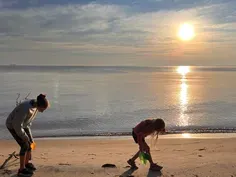 Fossil hunts yield giant shark tooth and dinosaur footprint
