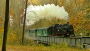 Saxony Narrow Gauge