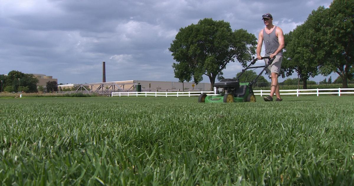 Backyard farmer | backyard farmer: lawn care service & pesticides