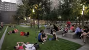 TREASURES OF NEW YORK