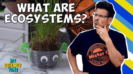 Video thumbnail: DIY Science Time Ecosystems