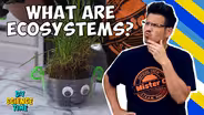 Ecosystems