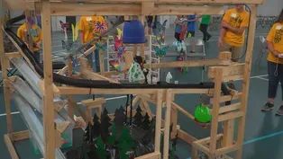 The Engineering Design Challenge