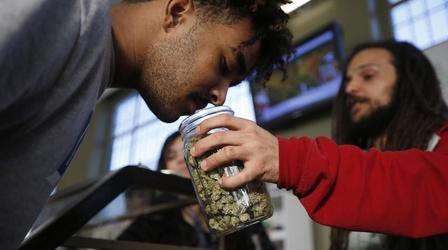 Video thumbnail: PBS NewsHour Why some small marijuana growers struggle after legalization