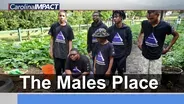 The Males Place