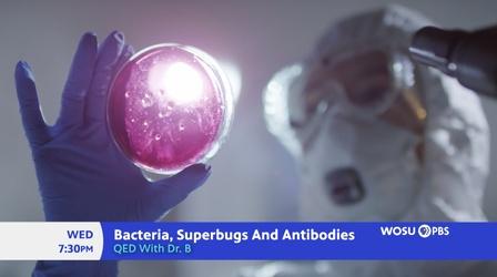 Video thumbnail: QED With Dr. B Bacteria, Superbugs And Antibodies Preview