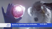 Bacteria, Superbugs And Antibodies Preview