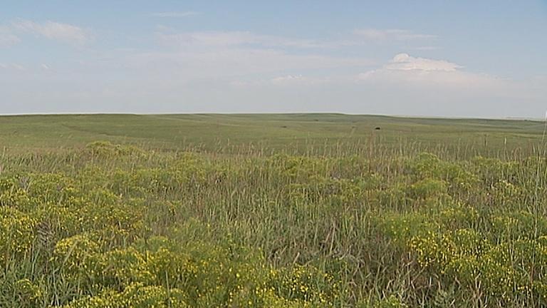 Thumbnail for America's Heartland Season 19 Episode 9