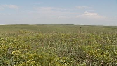 Saving Historic Kansas Prairie Grasslands