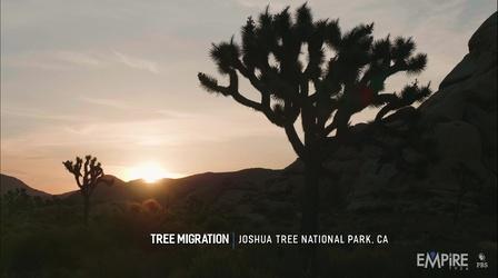 Video thumbnail: State of the Empire Joshua Tree Migration