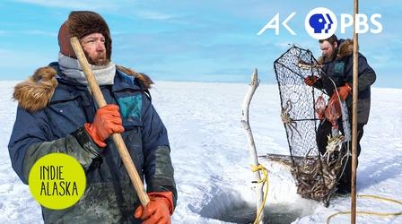 Video thumbnail: Indie Alaska Crabbing beneath the Bering Sea Ice in Nome | INDIE ALASKA