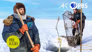 Crabbing beneath the Bering Sea Ice in Nome | INDIE ALASKA