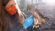The Greater Impact of Wildlife Patients