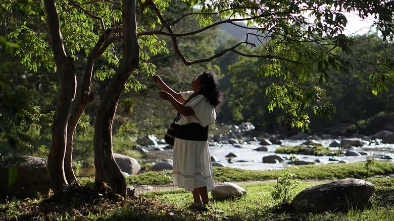 Sacred Planet with Gulnaz Khan Image