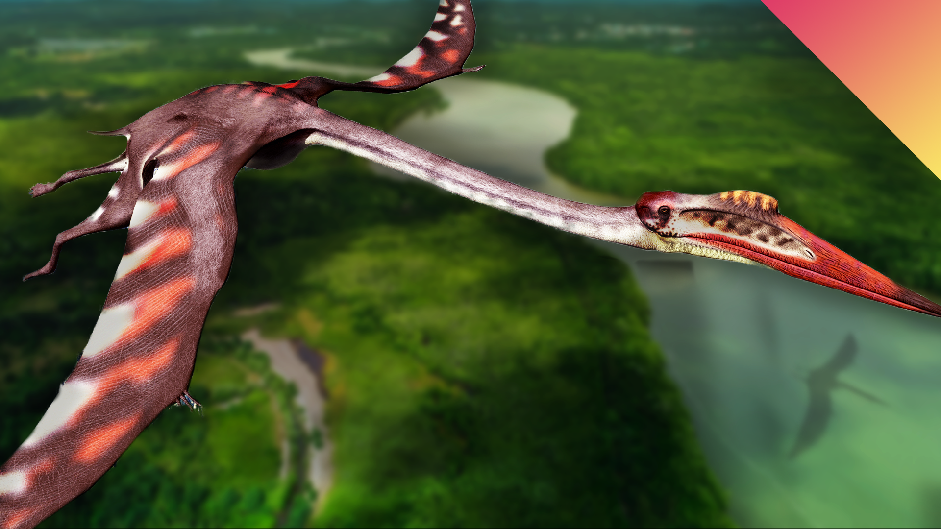The largest pterosaurs have not been grounded yet