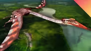 How Did Giant Pterosaurs Fly?