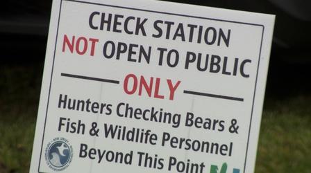 NJ bear hunt resumes, the first in 2 years