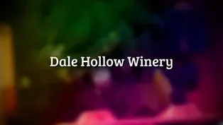 Dale Hollow Winery