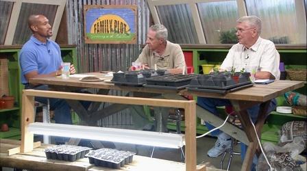 Video thumbnail: The Family Plot Starting Fall Seeds Indoors & Figs
