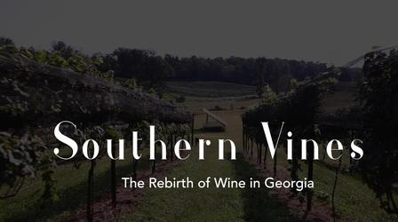 Video thumbnail: GPB Originals Southern Vines: The Rebirth of Wine in Georgia