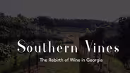 Southern Vines: The Rebirth of Wine in Georgia
