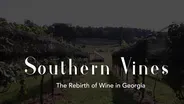 Southern Vines: The Rebirth of Wine in Georgia