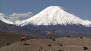 Desert Descent: Chile’s Atacama